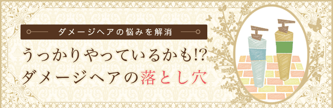 �����������Ă��邩��!?�_���[�W�w�A�̗��Ƃ���