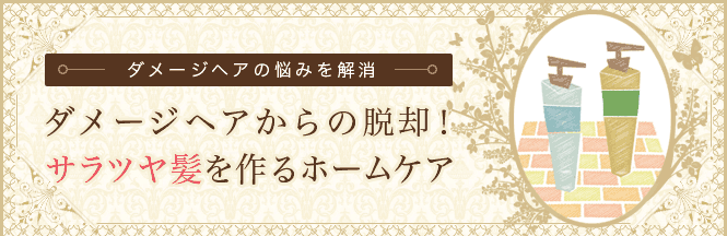 �_���[�W�w�A����̒E�p�I�T���c���������z�[���P�A