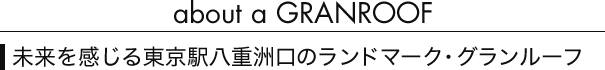 about a GRANROOF 铌wdF̃h}[NEO[t
