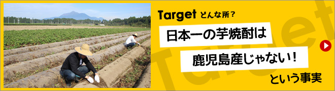 Target ǂȏH {̈Ē͎YȂIƂ