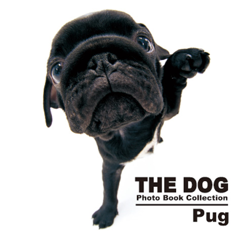wTHE DOG Photo Book Collection Pugx@
