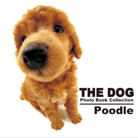 wTHE DOG Photo Book Collection Poodlex@