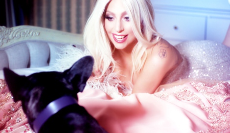 fB[EKKŏCMBesA̐VCMuBe yourself. ^ Lady Gaga with SHISEIDOvт 
