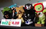 映画『テッド2』の完成披露試写イベントの模様 （C）ORICON NewS inc. 