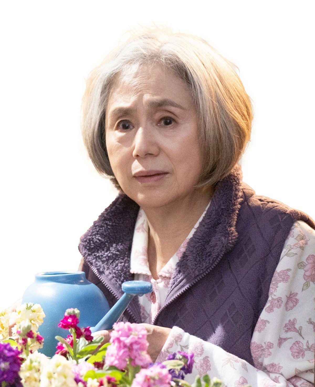 �����^�R���i���䂢���݁j�b�h���}�w�v�ɊԈႢ����܂���x�L���X�g�iC�j�J���e��