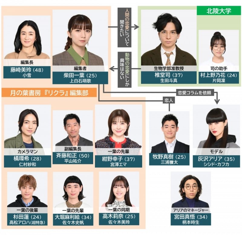 �p���_���������Ȏ����� �L���X�g���֐}