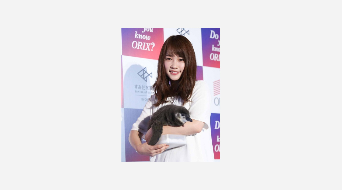 川栄李奈 ペンギンの赤ちゃんの名付け親に名前は あんこ Oricon News