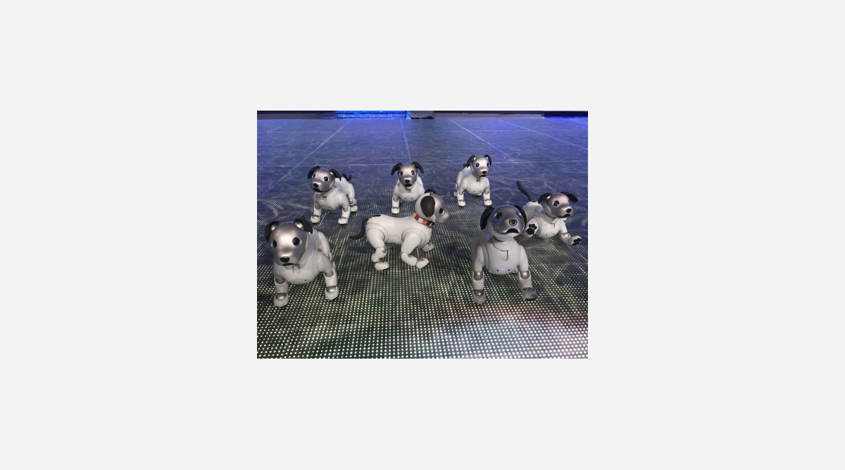 Mステ Sexyzone キュートな Aibo 15体とダンスコラボ Oricon News Mステ Sexyzone キュートな Aibo 15体とダンスコラボ Oricon News