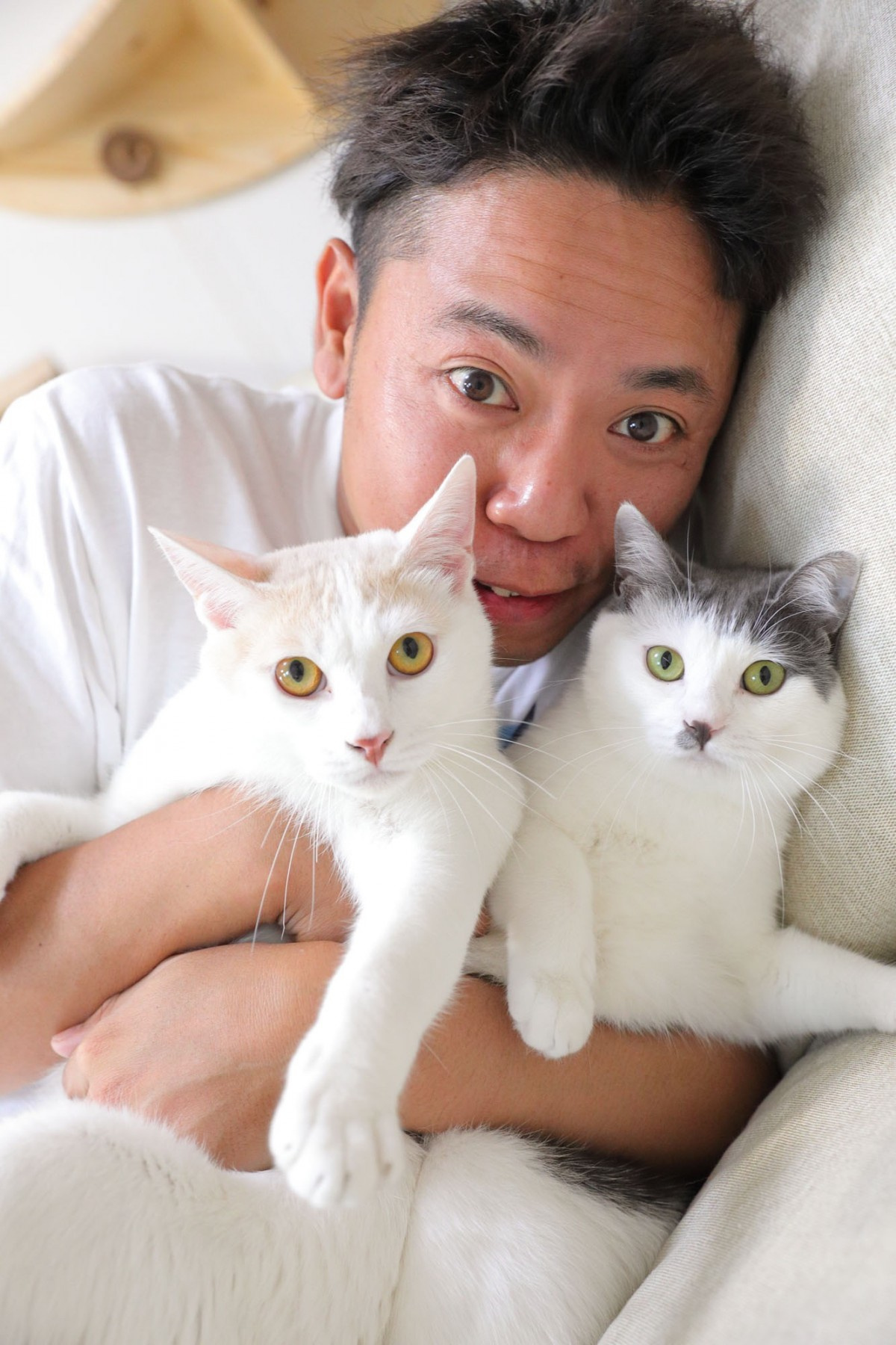 サンシャイン池崎 愛猫とのyoutube開始 チャンネル収入の利益全額寄付へ Oricon News