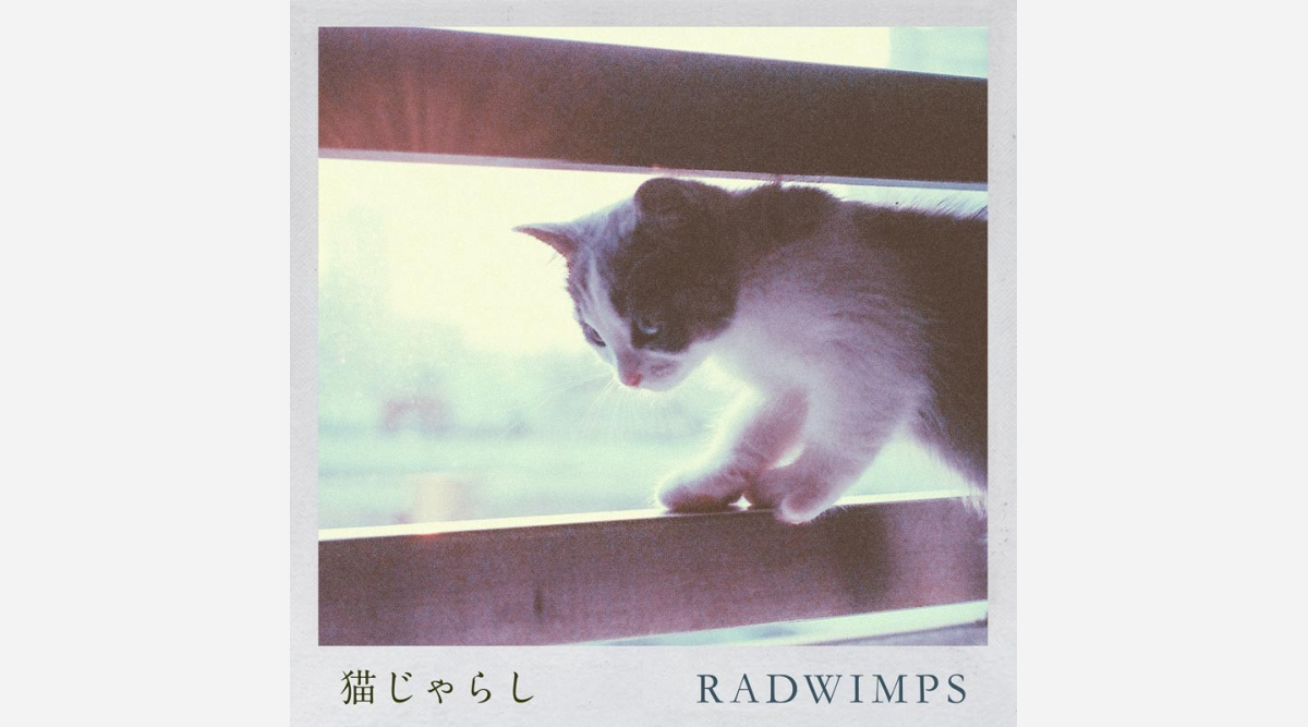 Radwimps 最新曲 猫じゃらし がデジタルシングル1位 深田恭子出演 午後の紅茶 Cmソングで話題 オリコンランキング Oricon News