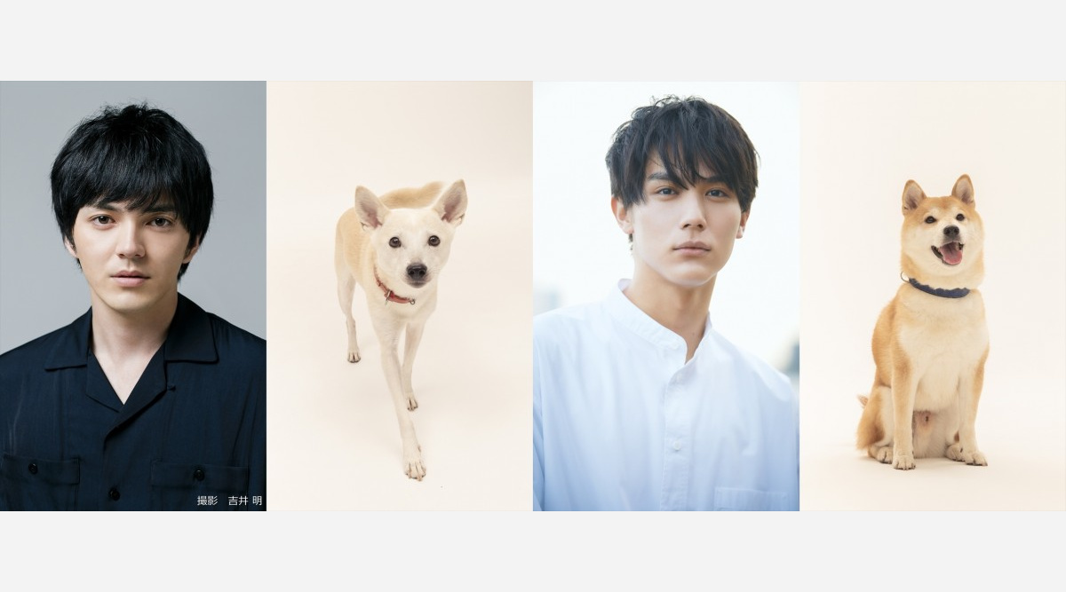 犬部 林遣都 中川大志共演で実写映画化 逃げずに 最後までこの役を生きたい Oricon News