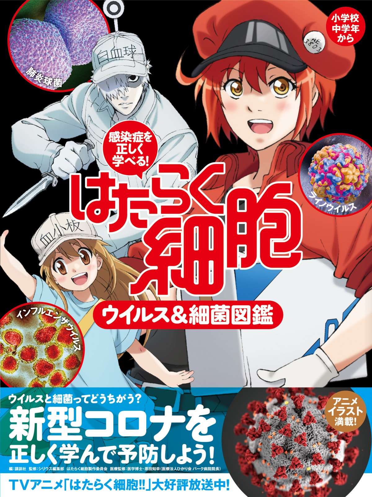 新型コロナ正しく学べる アニメ はたらく細胞 図鑑21日発売 Oricon News