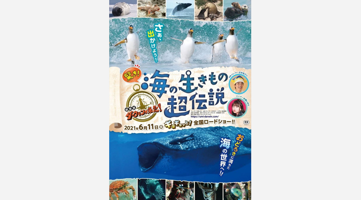 ダーウィンが来た 映画化第3弾 海の生き物の世界にレッツ ギョー Oricon News ダーウィンが来た 映画化第3弾 海の生き物の世界にレッツ ギョー Oricon News