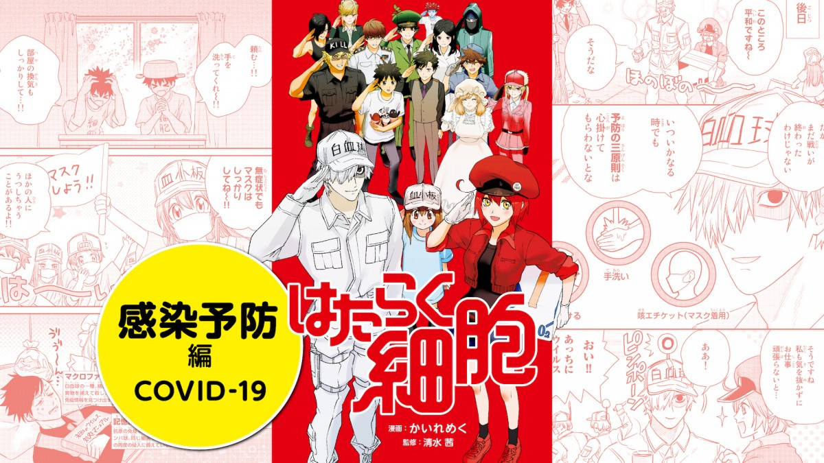 はたらく細胞 厚労省と共同企画で2作品を世界無料配信 コロナへ理解深める狙い 英語やヒンディー語に翻訳 Oricon News