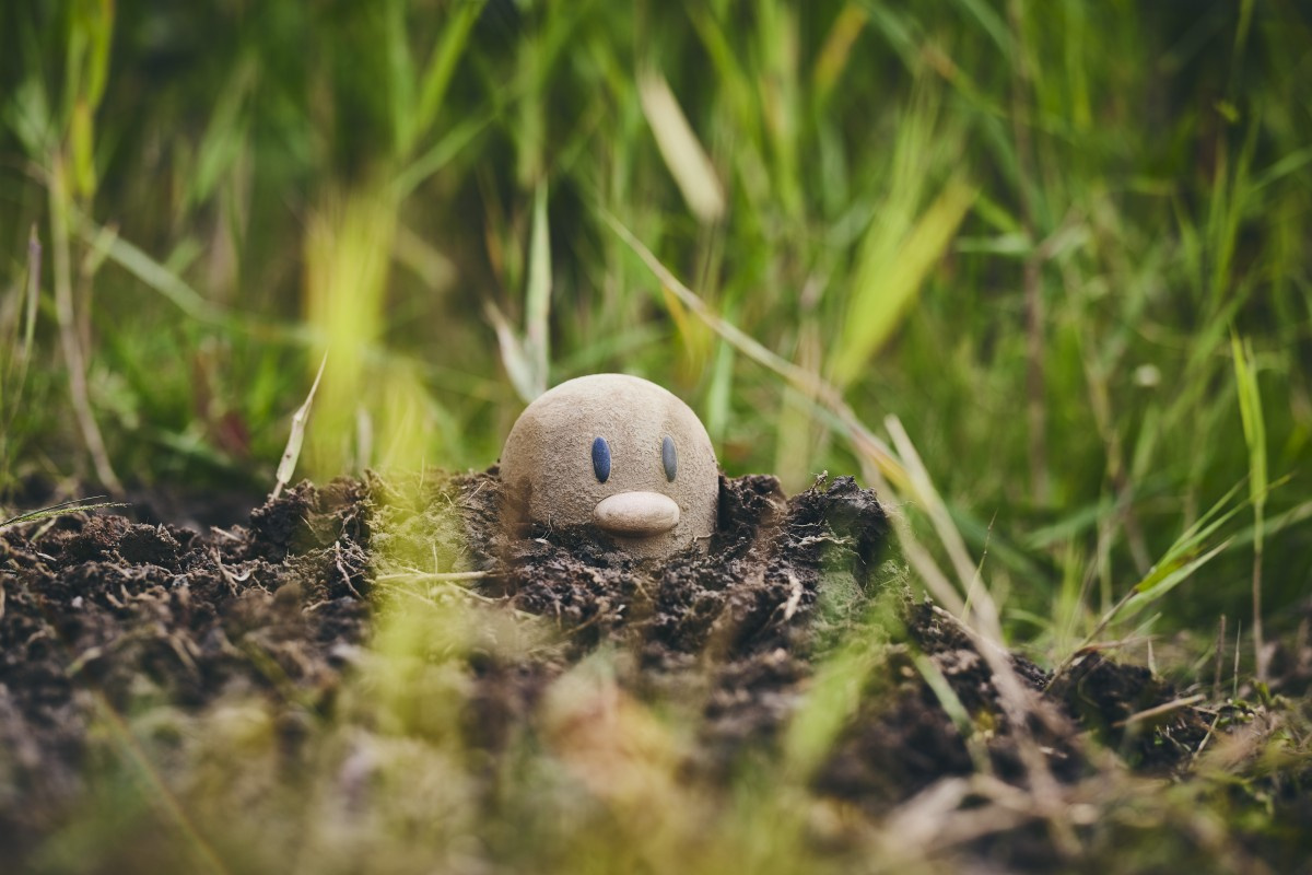 よみうりランド新エリア誕生 世界初 自然の中でポケモン探し調査 Pokemonwonder Oricon News よみうりランド新エリア誕生 世界初 自然の中でポケモン探し調査 Pokemonwonder Oricon News