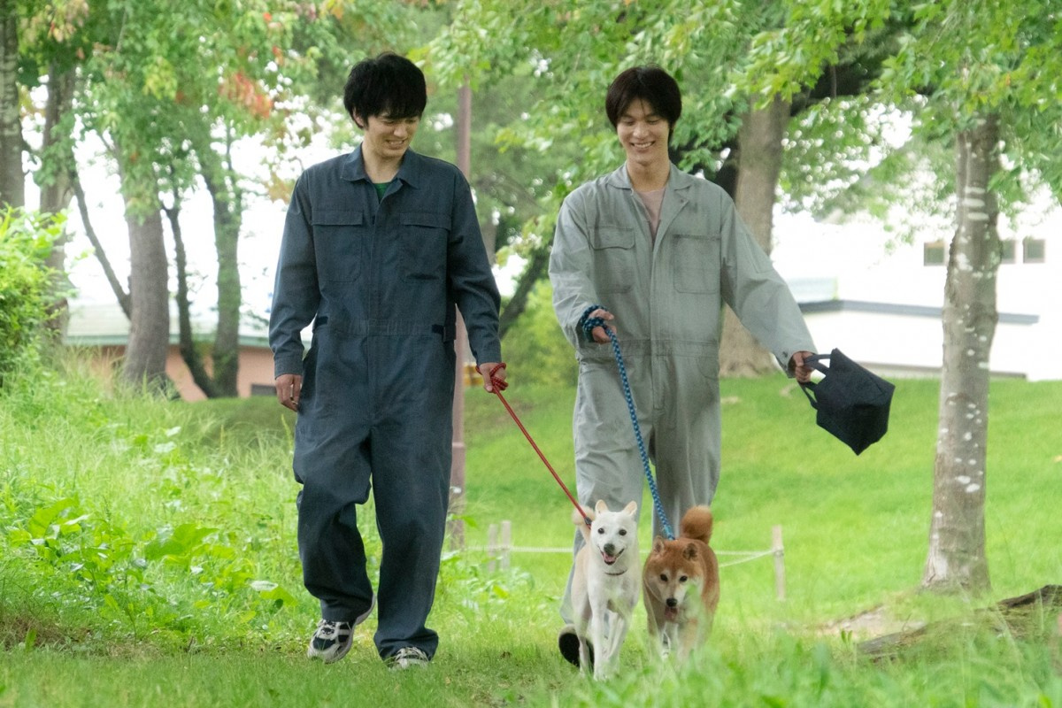 林遣都 中川大志 大原櫻子が集結 映画 犬部 冒頭8分の本編映像解禁 Oricon News 林遣都 中川大志 大原櫻子が集結 映画 犬部 冒頭8分の本編映像解禁 Oricon News