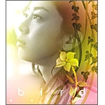 �U�����悤