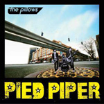PIED PIPER