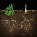 ���� �`���C�E���C�E���̖؂̍������`/?cm
