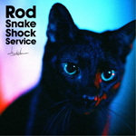 Rod Snake Shock Service