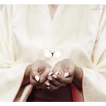 �����o���̎q��S/���e�̖e