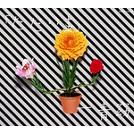 �u�������܁v