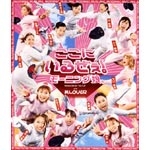 �����ɂ��邺��!