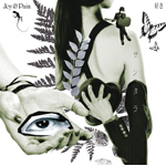 Joy & Pain/�D��