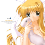 �h���}CD �uAIR�v ��9��:�uAIR�ҁv���