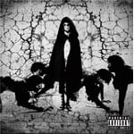 Hyena-Optical Impression-