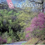 �l�C�`���[�Y�E�V���t�H�j�[�u�V�F�i���h�[�v