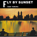 Fly By Sunset