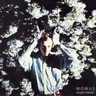 �e���_�[�E�p�[�o���g