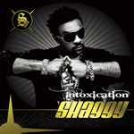 �C���g�L�P�[�V�����`����