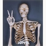 進化論～GOOD MORNING!-HELLO!21st-CENTURY～ | SOPHIA | オリコン