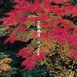 花鳥風月