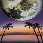 moon risin�f(�ʏ��)