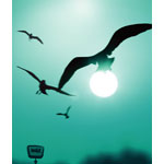 �ʂĂȂ������ւ�