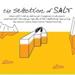 �Z���N�V�����E�I�u�ESALT