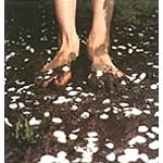 �����̓�