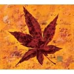 �����g�t