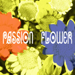 Passion Flower