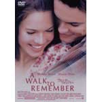 �E�H�[�N�E�g�D�E�������o�[