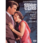 �����̋P��