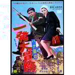 �n�i���̈ꔭ��`��