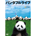 �p���_�t�����C�t