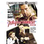 ���΂̐X ���ʔ�