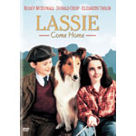 �������b�V�[/�ƘH