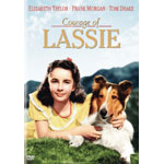 �������b�V�[�`���b�V�[�̗E�C�`