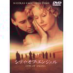 �V�e�B�E�I�u�E�G���W�F�� ���ʔ�